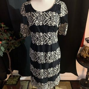 Antonio Melani Lace Gray/Black 6 Dress